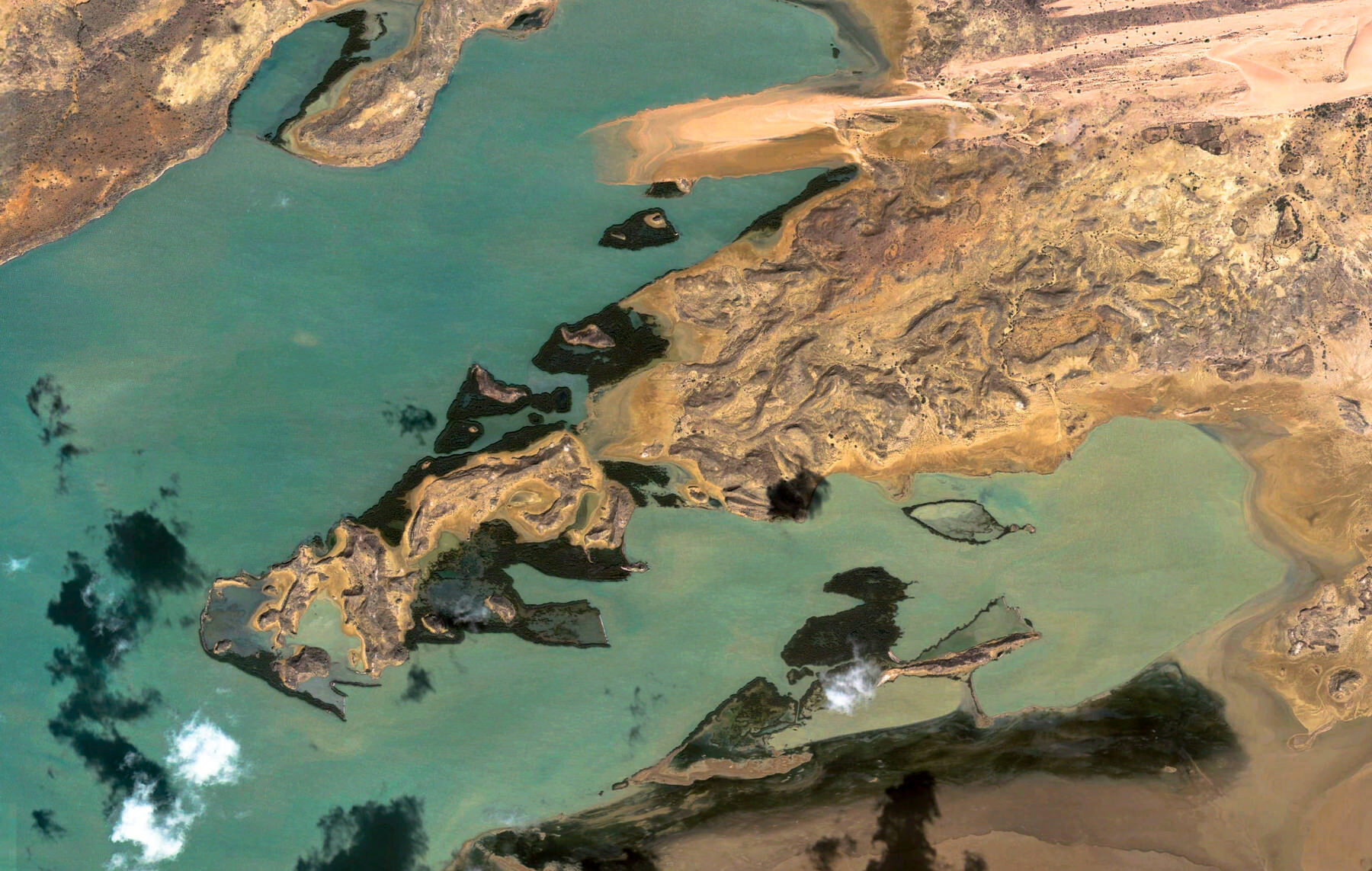 Hijas de la época. Conversatorio entre Manuela Espinal Solano, Julia  Kornberg, Susel Legón y Martina Vidret – Desmadres