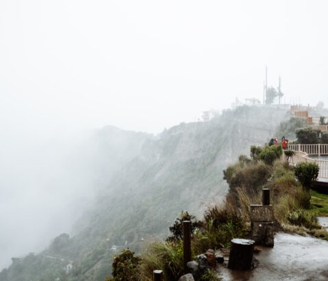 Sangre coagulada – Mónica Ojeda. Lee Agustina Caride